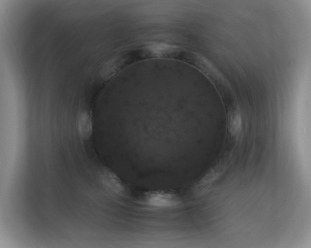 X0000110710471200906191551