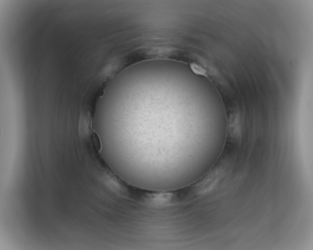 X0000110710474200906191551