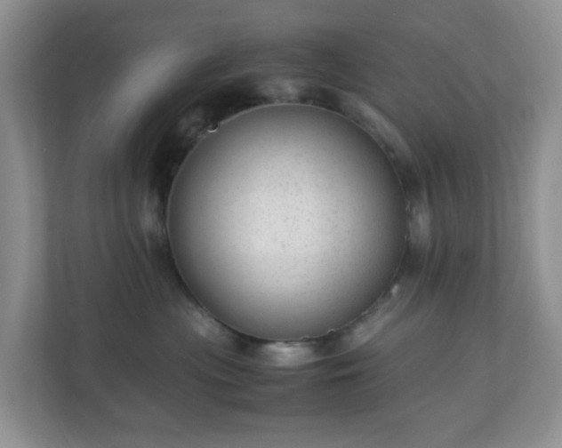 X0000110710477200906191551
