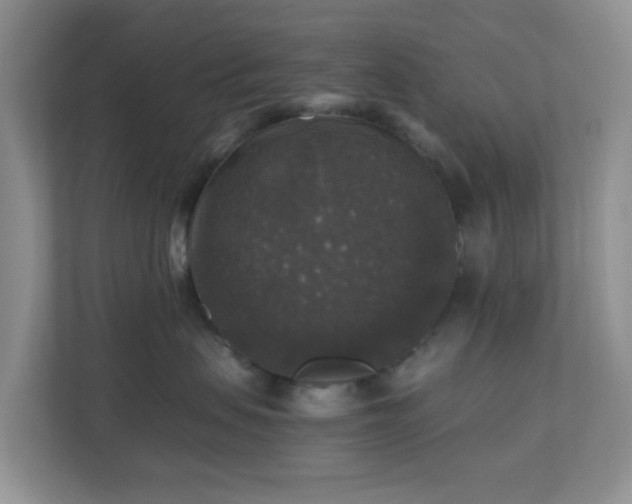 X0000110710479200906191551