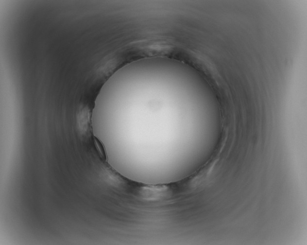 X0000110710480200906191551