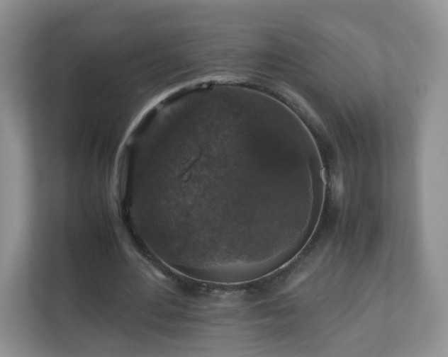 X0000110710484200906191550