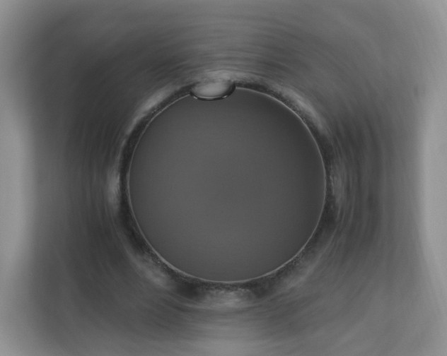 X0000110710488200906191550