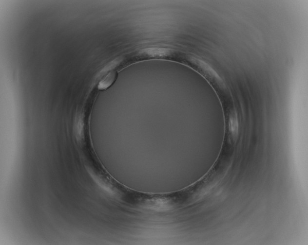 X0000110710492200906191550