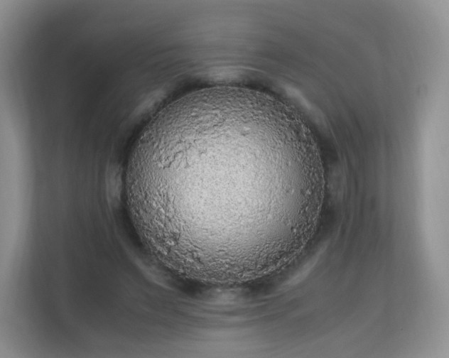 X0000110710495200906191550