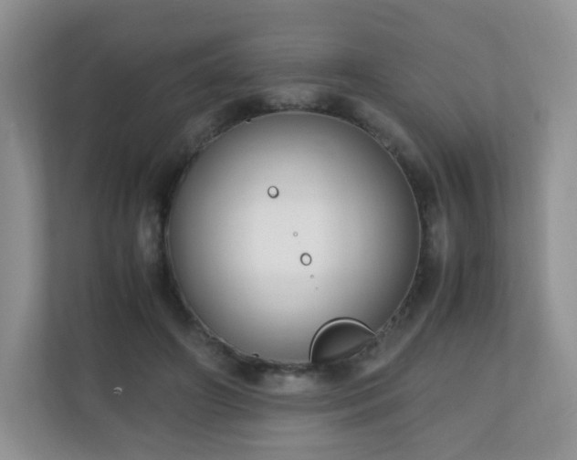 X0000110710498200906191550