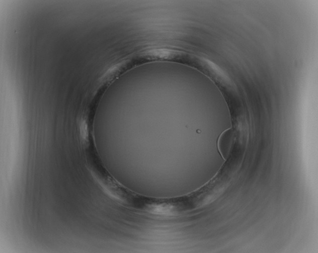 X0000110710500200906191550