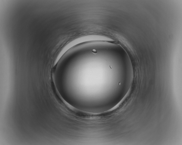 X0000110710501200906191550