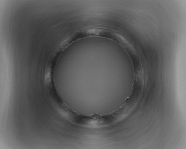 X0000110710504200906191550
