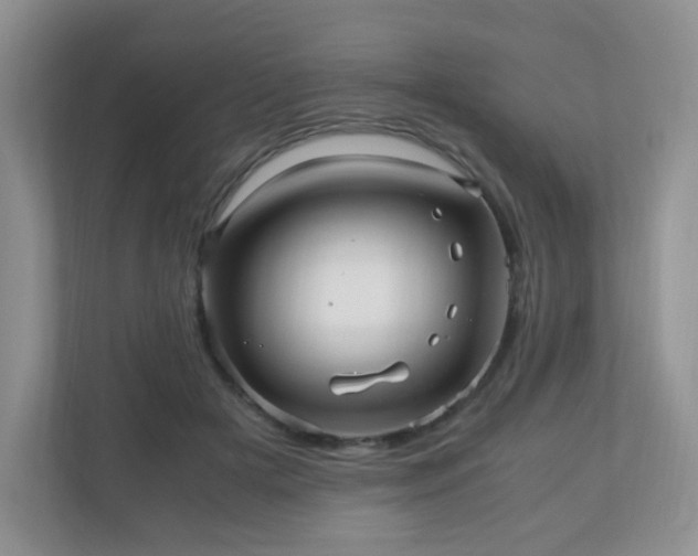 X0000110710505200906191550