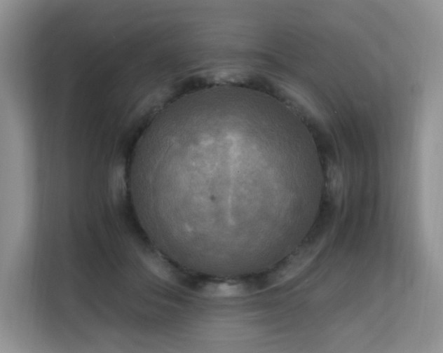 X0000110710506200906191550