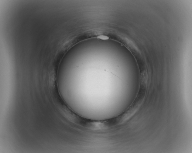 X0000110710509200906191550
