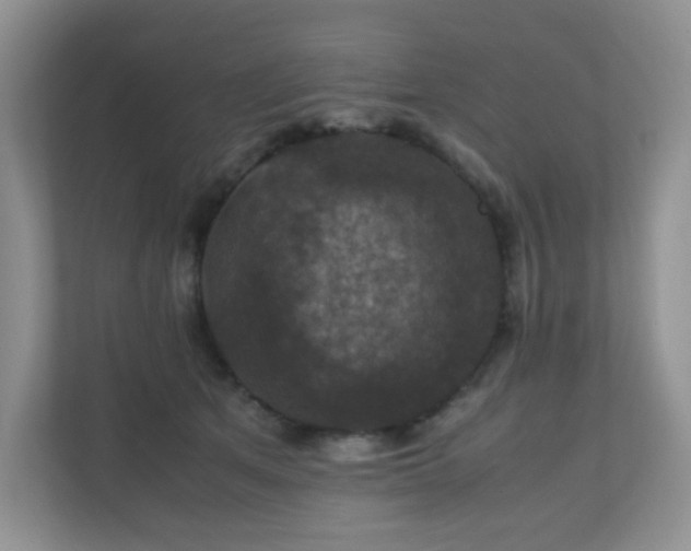 X0000110710513200906191550