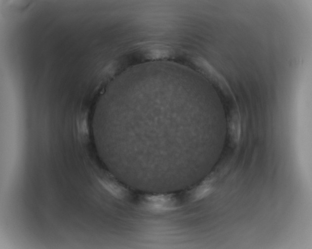 X0000110710516200906191550