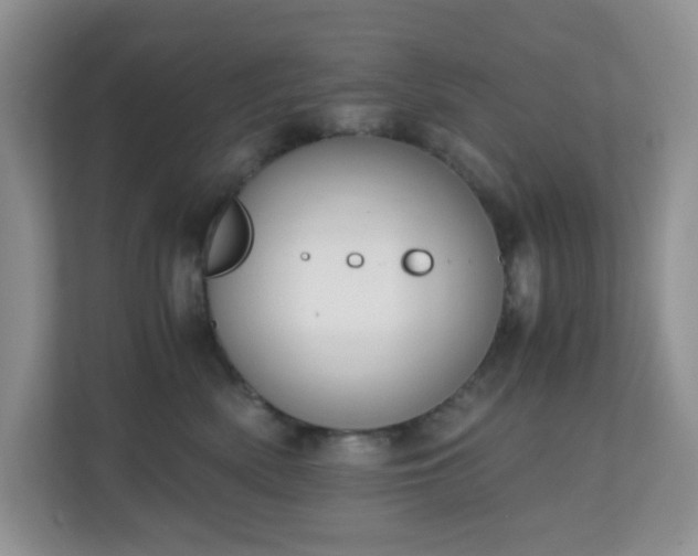 X0000110710522200906191550