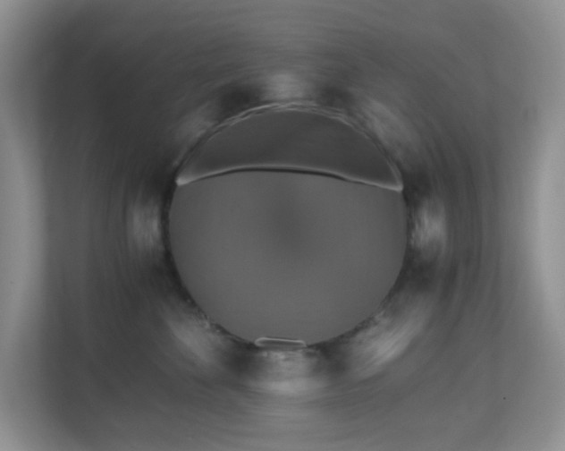 X0000110710524200906191550