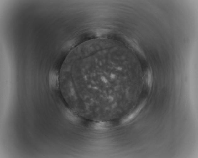 X0000110710527200906191550