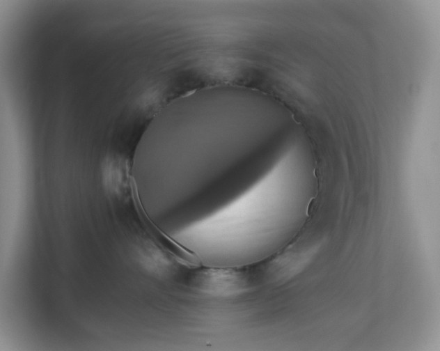 X0000110710528200906191550