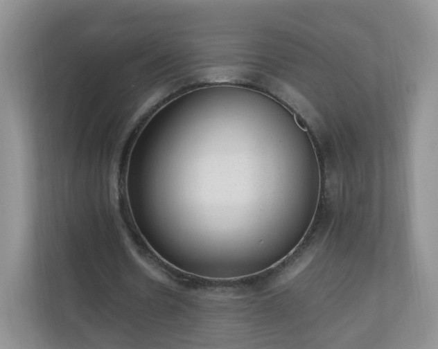 X0000110710530200906191549