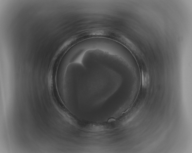 X0000110710531200906191549