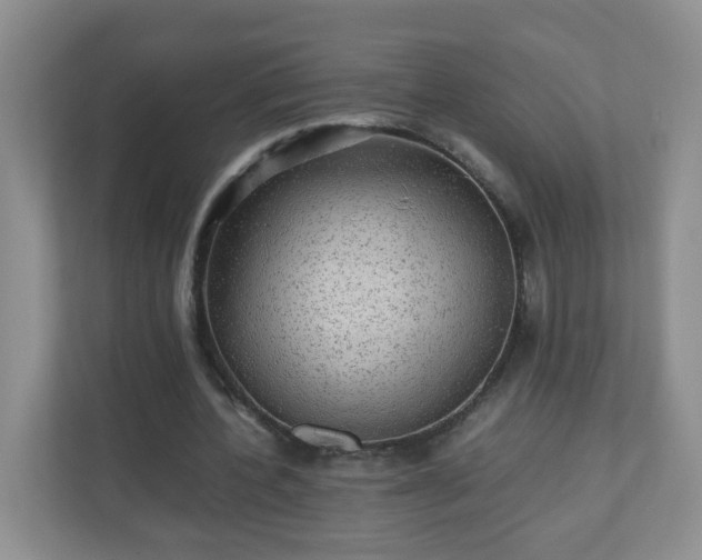 X0000110710532200906191549