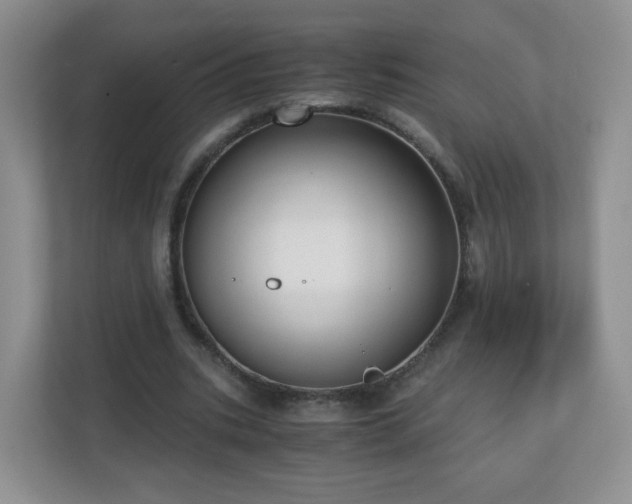 X0000110710535200906191549