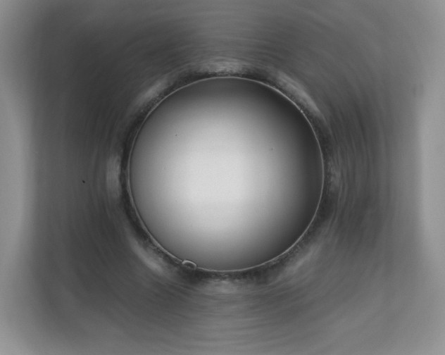 X0000110710538200906191549