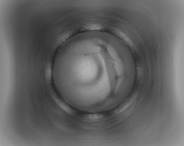 X0000110710541200906191549