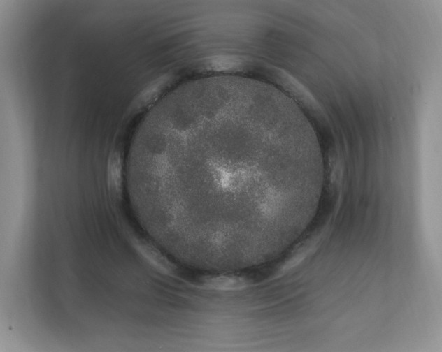 X0000110710542200906191549
