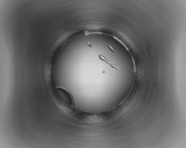 X0000110710544200906191549