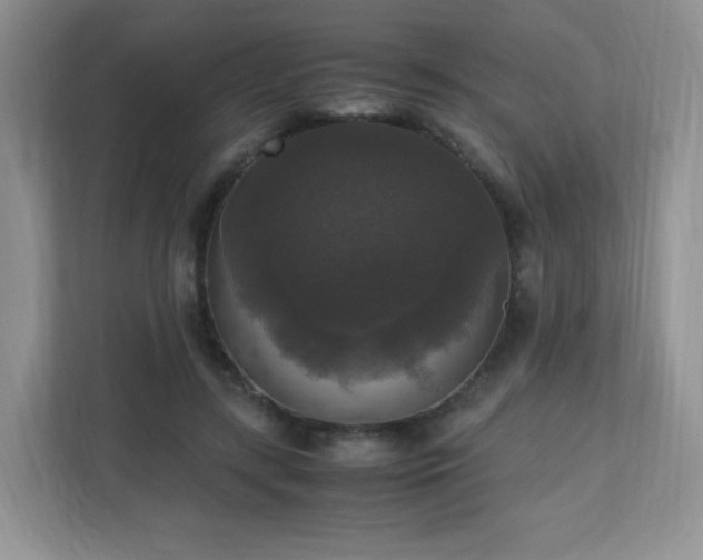 X0000110710547200906191549