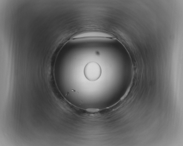 X0000110710548200906191549