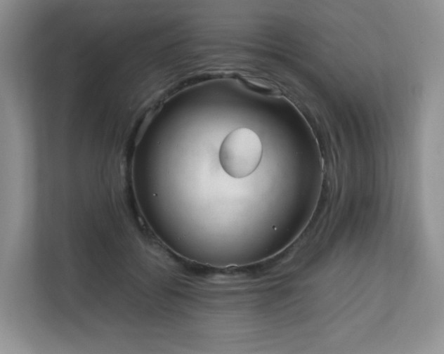 X0000110710556200906191550