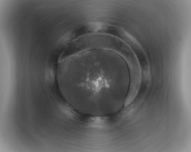 X0000110710558200906191550