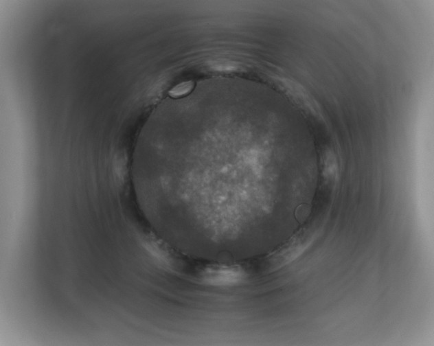 X0000110710559200906191550