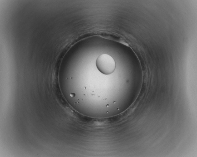 X0000110710560200906191550
