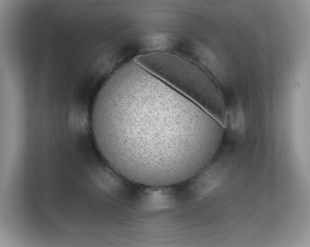 X0000110710564200906191550