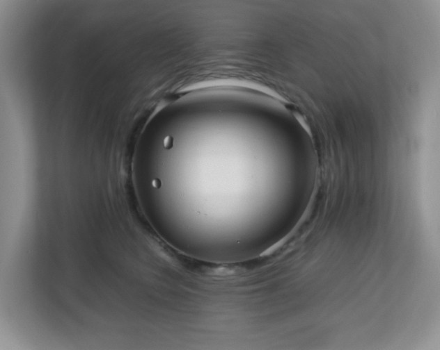 X0000110710566200906191550