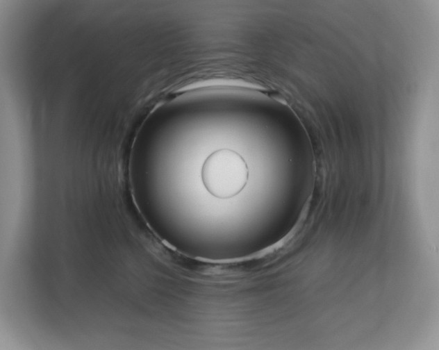 X0000110710568200906191550