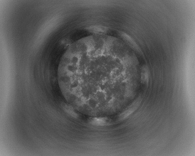 X0000110710573200906191550