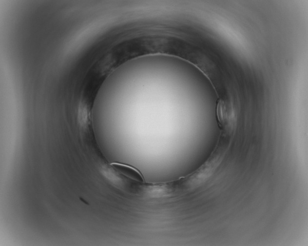 X0000110710574200906191550