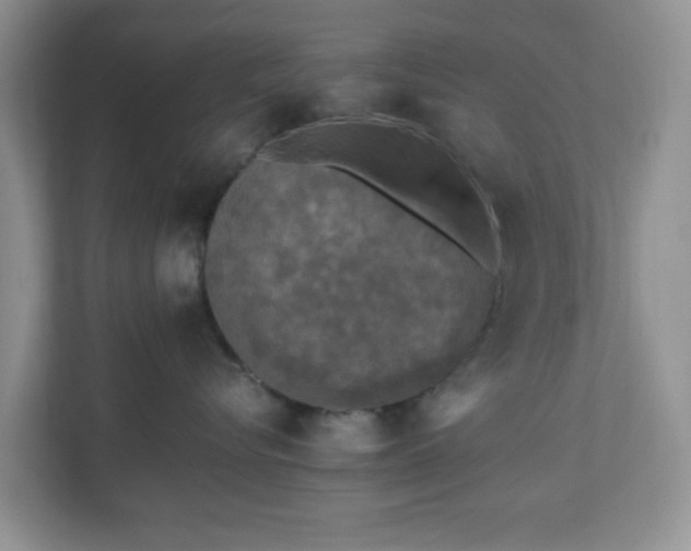 X0000110710576200906191550