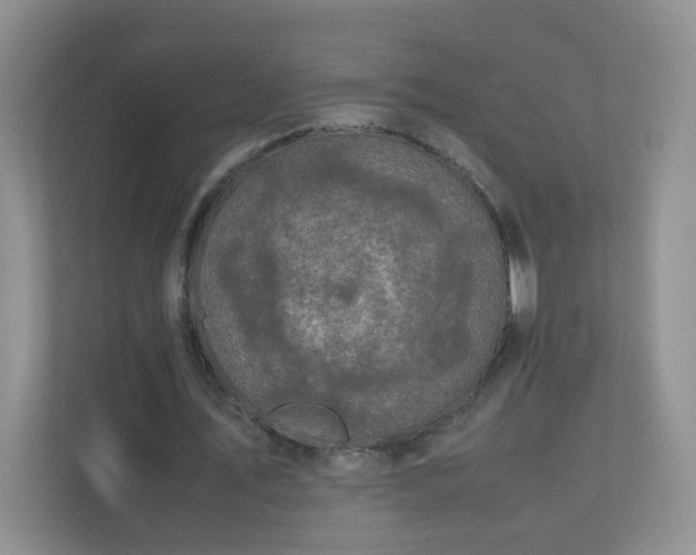 X0000110710579200906191549