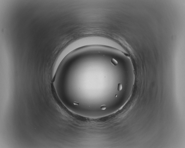 X0000110710585200906191549