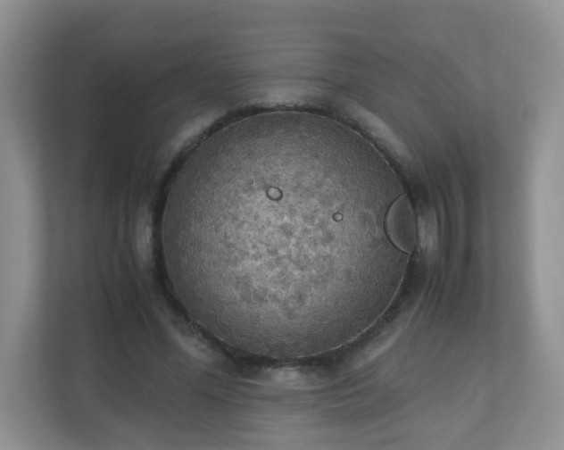 X0000110710588200906191549