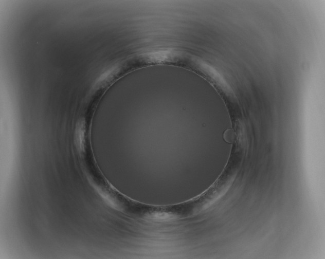 X0000110710590200906191549