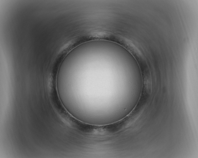 X0000110710591200906191549