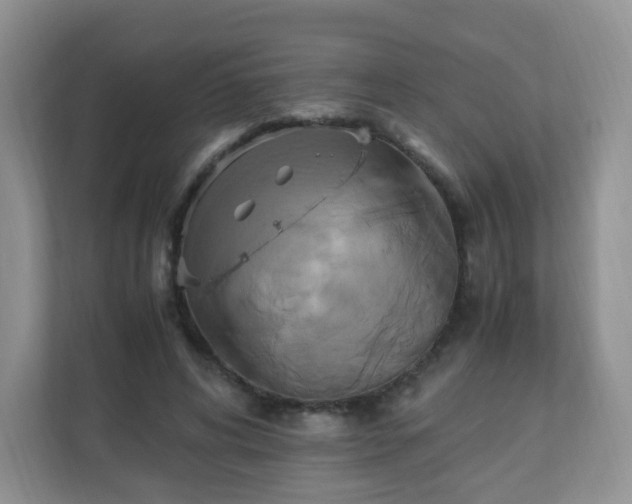 X0000110710592200906191549