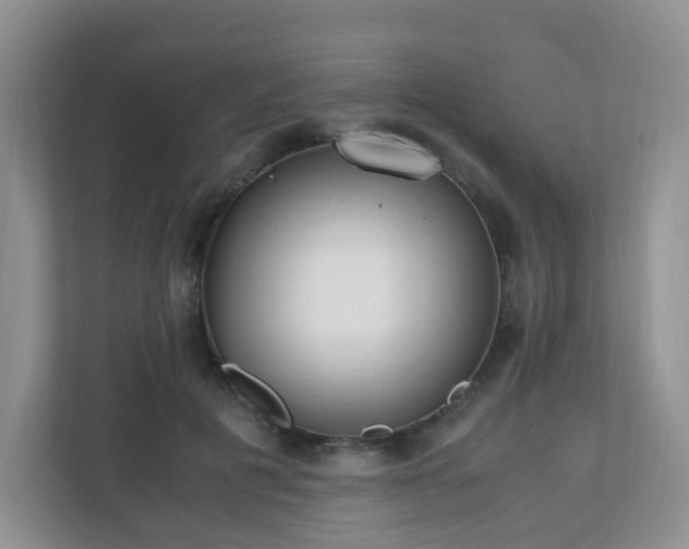 X0000110710601200906191549