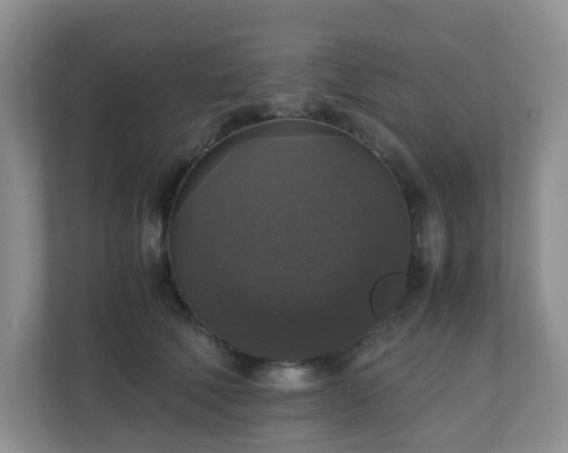 X0000110710610200906191549